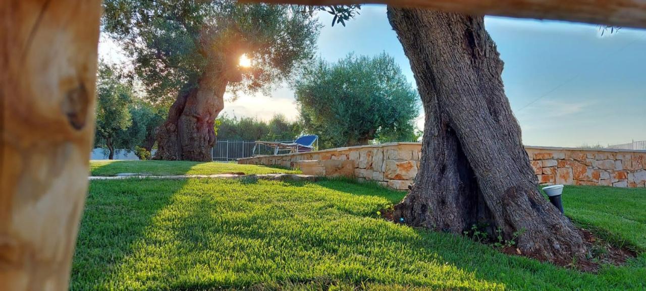 Trulli Lisanna - Apulian Hideaway With Pool Lejlighed Antonelli Eksteriør billede