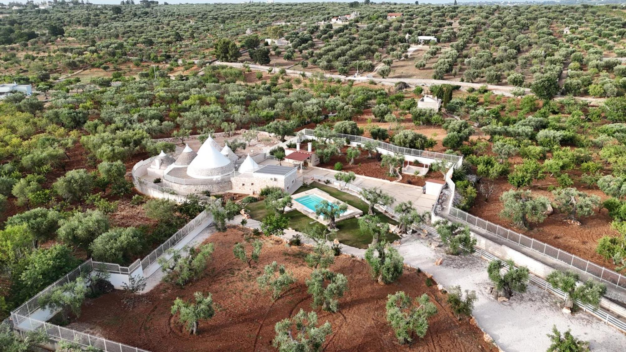 Trulli Lisanna - Exclusive Private Pool And Rooms Up To 10 People Antonelli Eksteriør billede